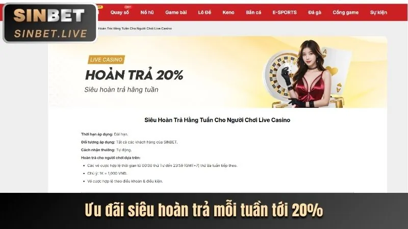 Hình ảnh đồng xu và mũi tên đi lên, tượng trưng cho chương trình hoàn trả cược thể thao hàng tuần